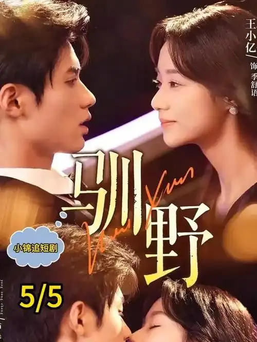 年代情感剧春风不渡玉门剧集海报